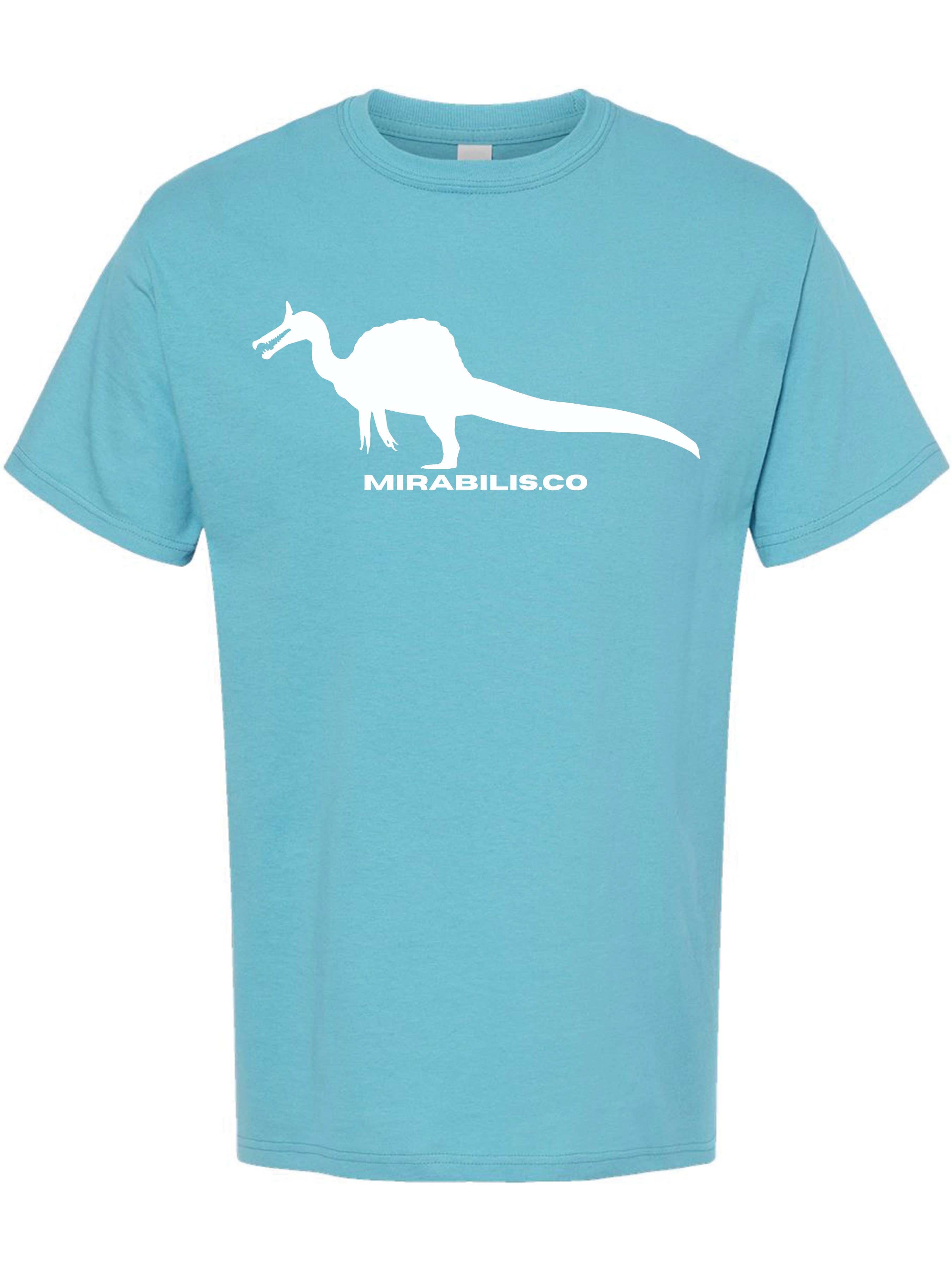 Adult Classic Tee