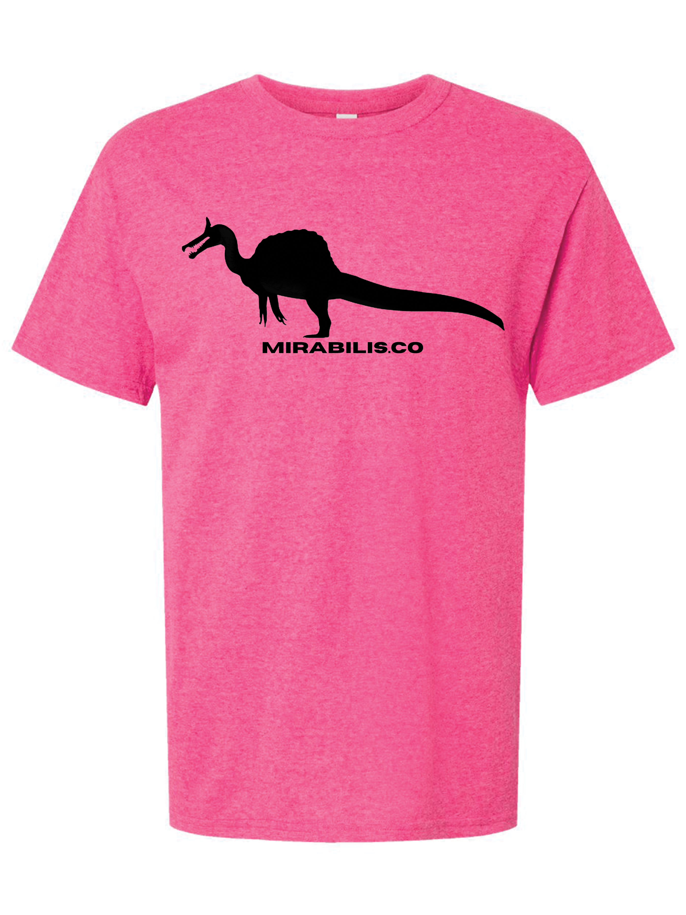 Adult Classic Tee