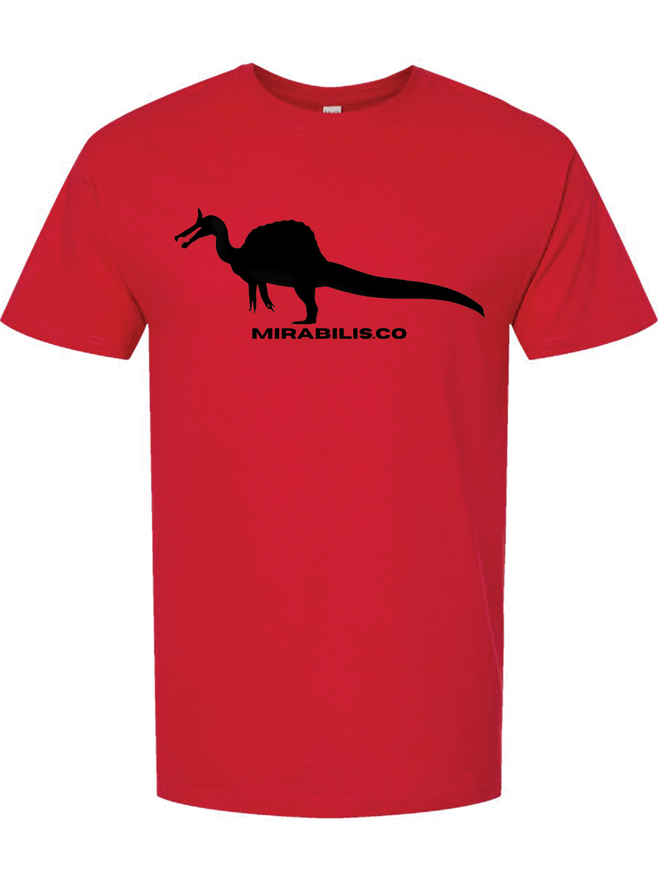 Adult Classic Tee