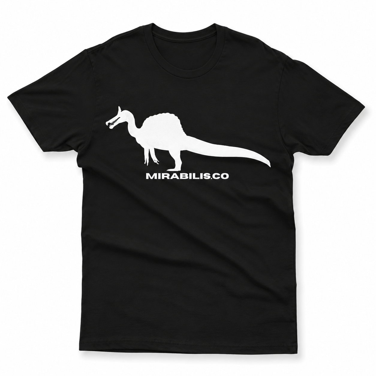 Adult Classic Tee