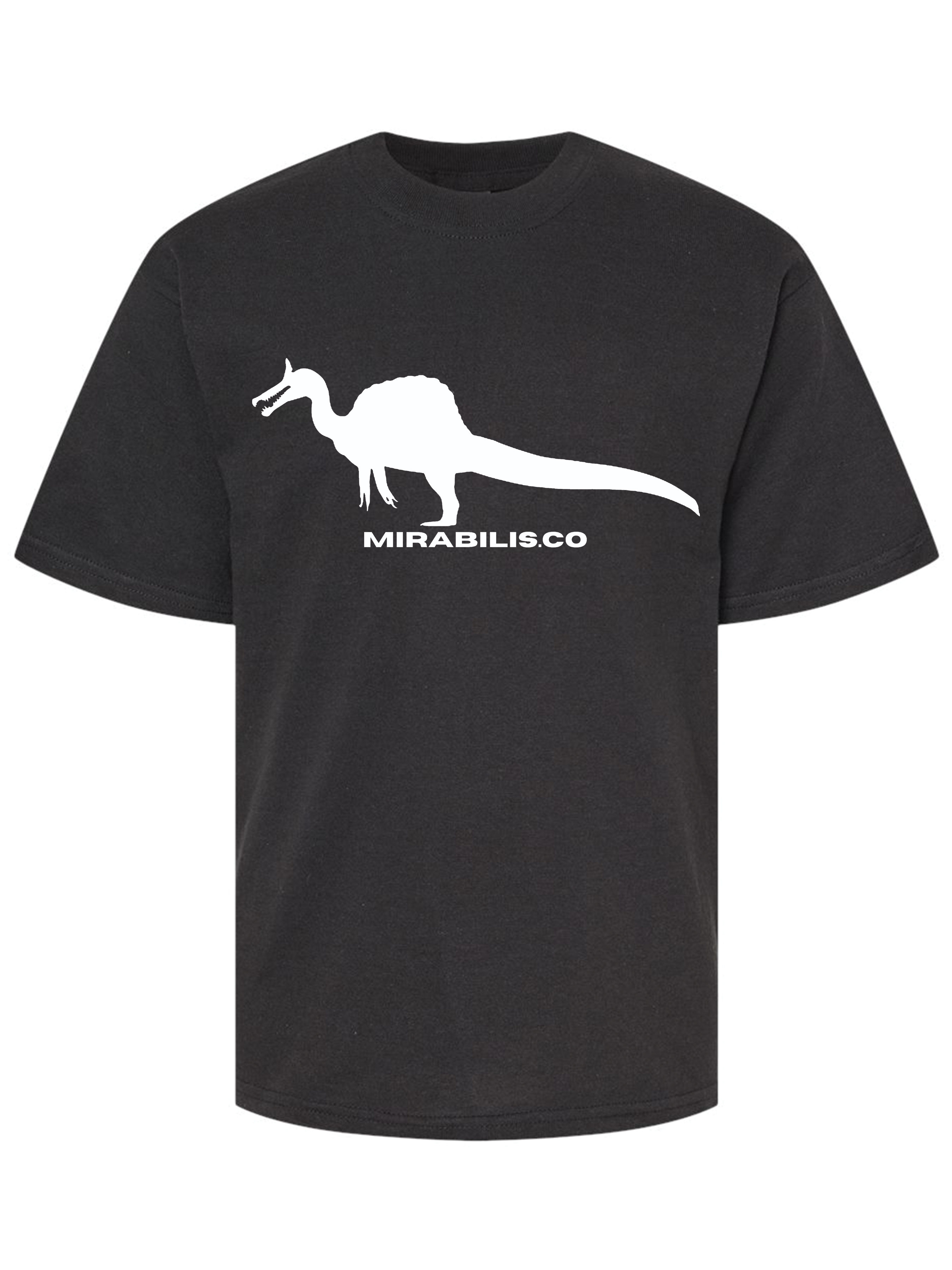 Youth Classic Tee