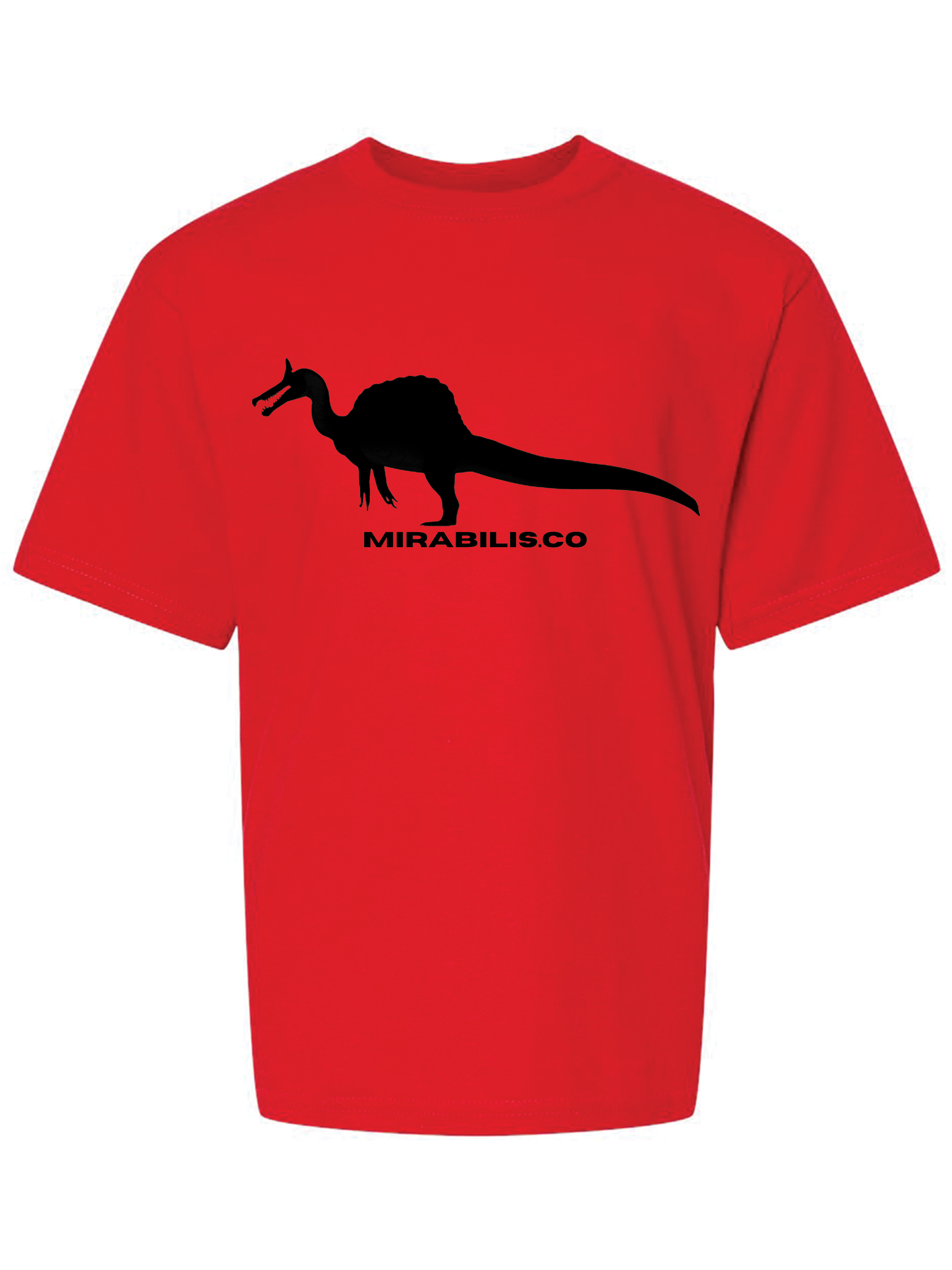 Youth Classic Tee